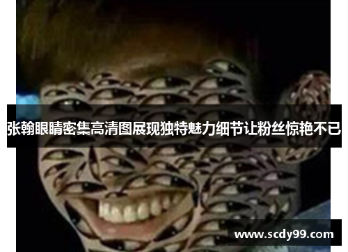 张翰眼睛密集高清图展现独特魅力细节让粉丝惊艳不已